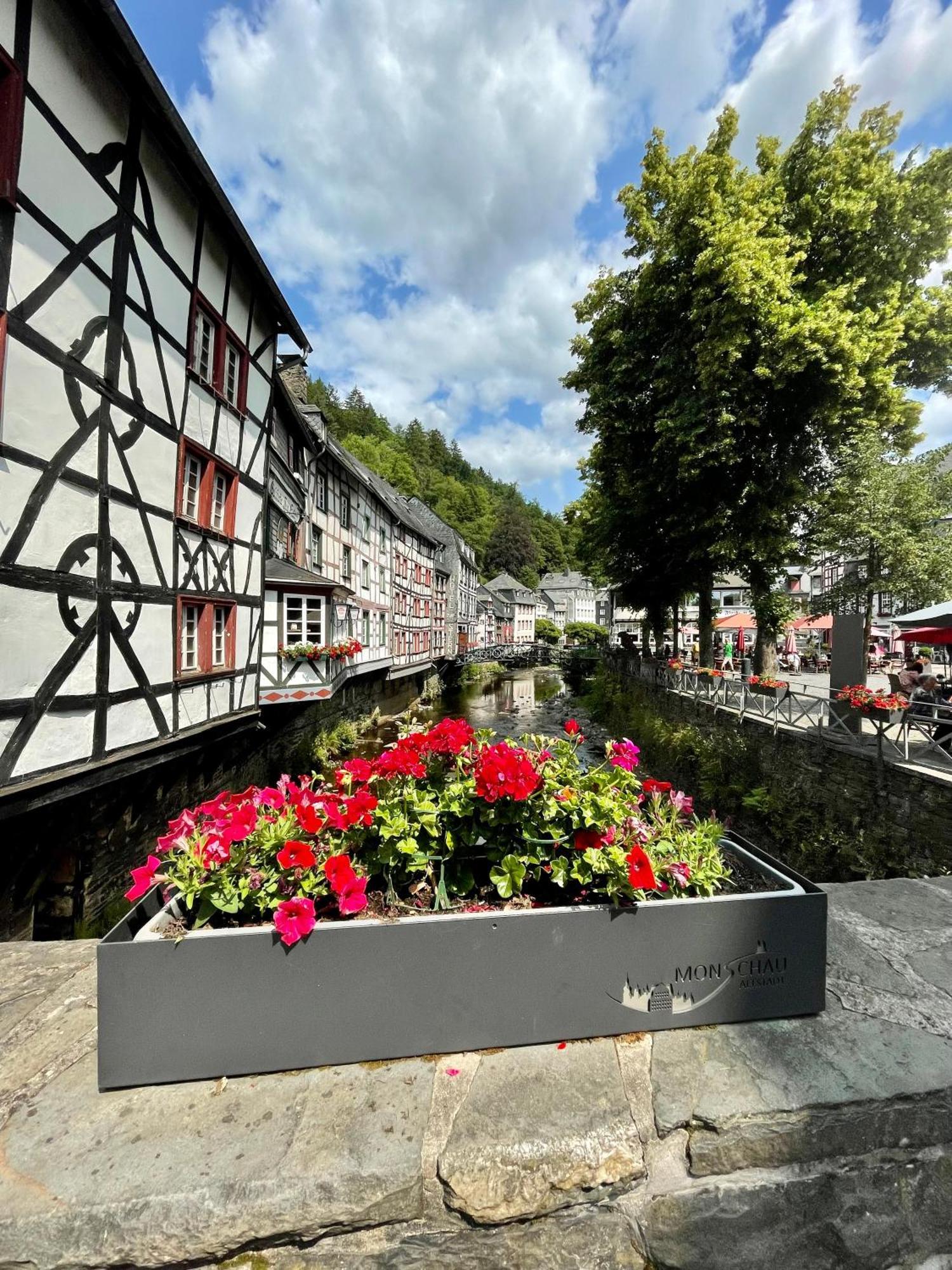City Apartments Monschau Exteriör bild